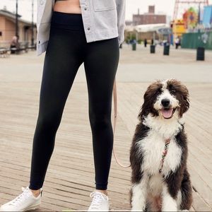 NWT aerie offline OG legging